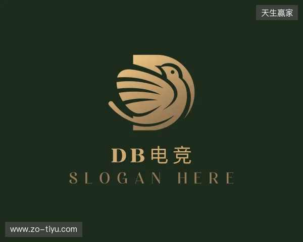 关于DB电竞官网